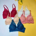 Combo H Lace Wireless Bra (5 pcs)