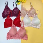 Combo F Lace Wireless Bra (5 pcs)